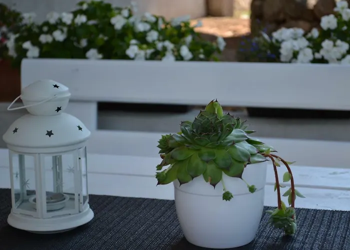 Daire Kamenar Rijeka