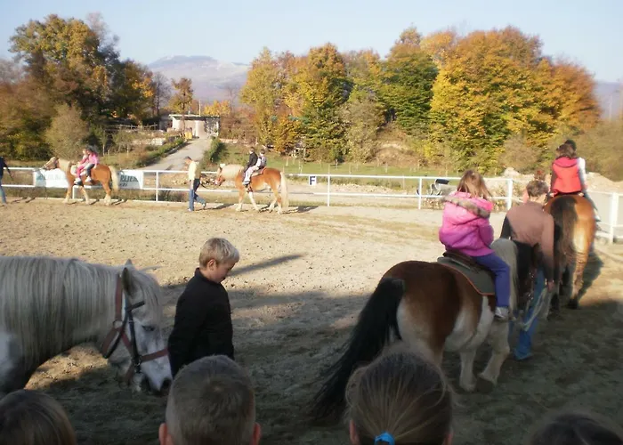 Kamenar Daire Rijeka